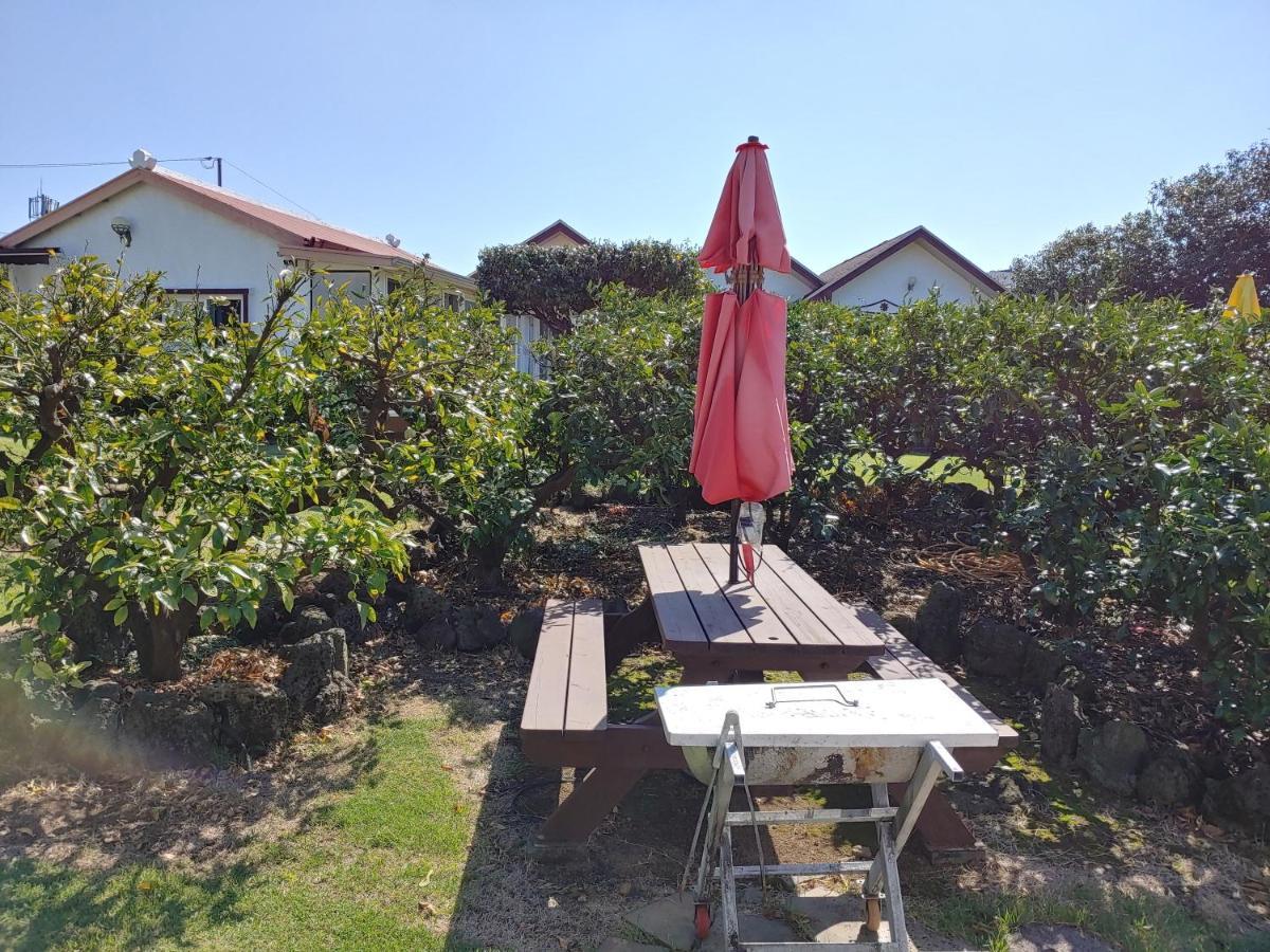Gyulhouse Pension Seogwipo Luaran gambar